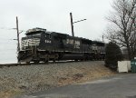 NS 6968 leading K40